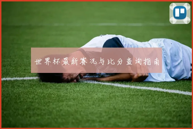 世界杯最新赛况与比分查询指南