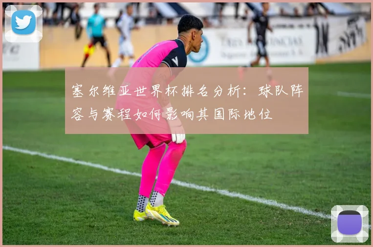 塞尔维亚世界杯排名分析：球队阵容与赛程如何影响其国际地位