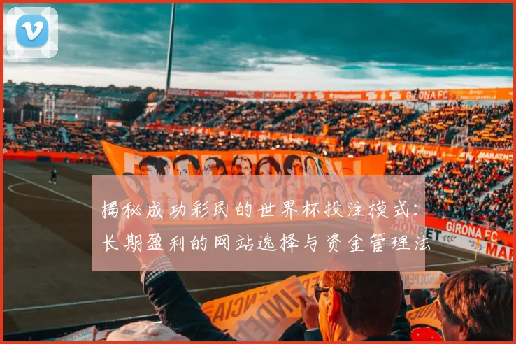 揭秘成功彩民的世界杯投注模式：长期盈利的网站选择与资金管理法则