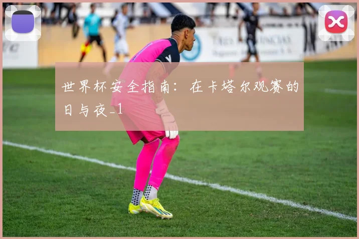 世界杯安全指南：在卡塔尔观赛的日与夜_1